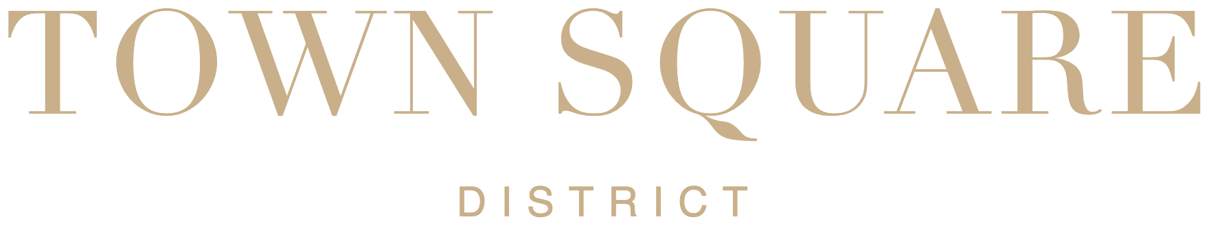 Town Square District